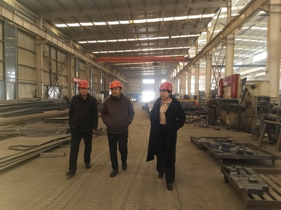 成武钢铁产业园 (2).jpg